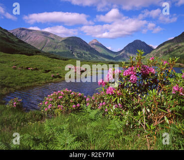 Frühling-Szene in Glen Etive, Argyll Stockfoto