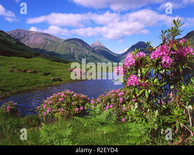 Frühling-Szene in Glen Etive, Argyll Stockfoto