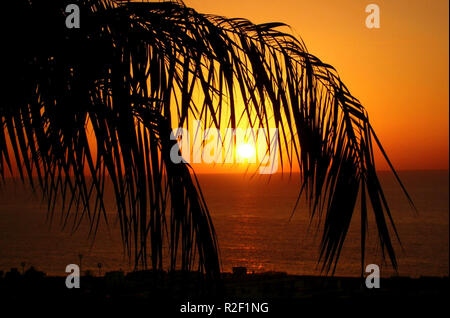 Sonnenuntergang in Puerto de la Cruz 2. Stockfoto