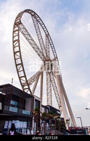 Dubai, Vereinigte Arabische Emirate - November 16, 2018: Ain Dubai Riesenrad auf der Bluewaters Insel in Dubai, neu eröffnete Freizeit und Reisen Ort in Dub Stockfoto