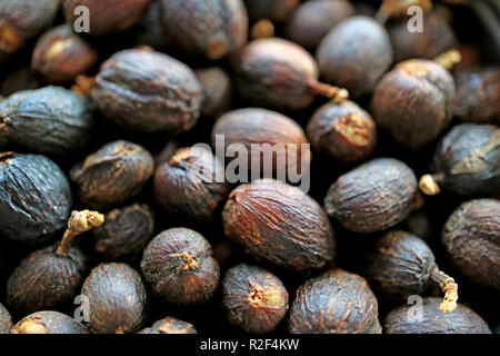 Geschlossen Anhäufen von getrockneten ganzen Kaffeekirschen, Textur Hintergrund Stockfoto