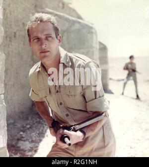 Exodus Jahr: 1960 USA Regie: Otto Preminger Paul Newman Stockfoto