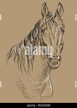 Horse Portrait. Pferd Kopf mit langer Mähne in den Farben Schwarz und Weiß auf beige Hintergrund isoliert. Vektor hand Zeichnung Abbildung Stock Vektor