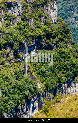 Wasserfall in der Schlucht der Nationalpark Aparados da Serra läuft Stockfoto