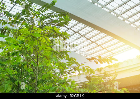 Schiebedach und Green Tree Park Garden im eco Bürogebäude frische, saubere Luft. Stockfoto