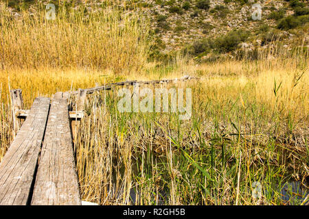 Holz- Pfad durch das Schilf im Feuchtgebiet Marjal Pego-Oliva Naturpark Stockfoto