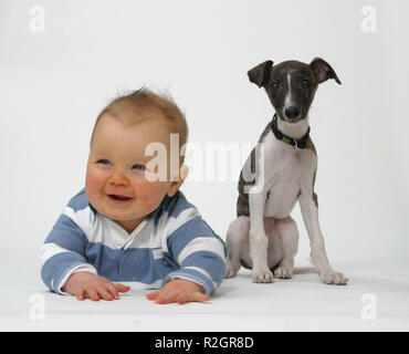 Big Boys Stockfoto