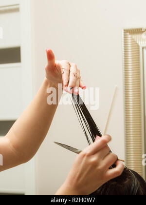 Friseur schneiden dunkle Haare mit professioneller Schere, die Pflege von Split Haar endet. Stockfoto