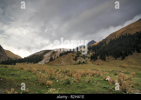 Panoramablick auf Barskoon Pass, den Fluss und die Schlucht und Sarymoynak Pass bei Jeti-Oguz, Kirgisistan Stockfoto