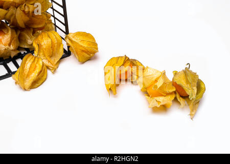 Physalis Gruppe closeup auf weißem Hintergrund in schwarzem Feld Warenkorb isoliert Stockfoto