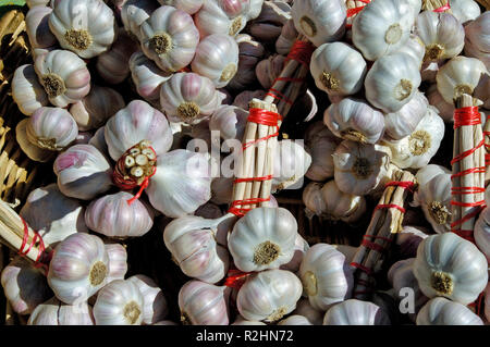 Knoblauch Stockfoto