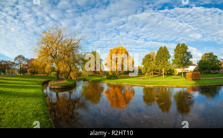 Queen Elizabeth Gärten in Salisbury England. Stockfoto