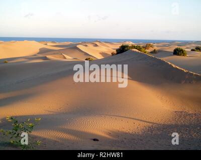 Dünen von maspalomas Stockfoto