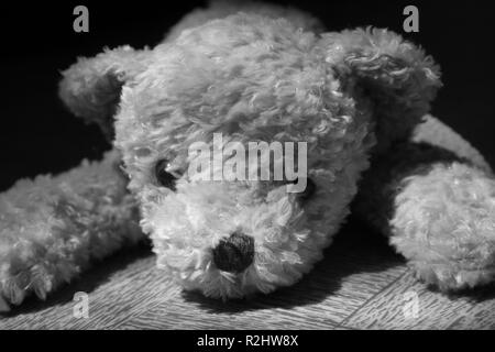 Teddy Teddybär Teddybär kuscheln Teddys Freunde Freundschaft Bett braun