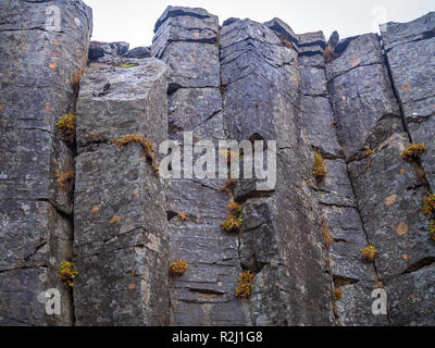 Gerduberg Basaltsäulen, Island Stockfoto