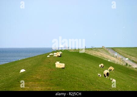 Geschwisterliebe Stockfoto