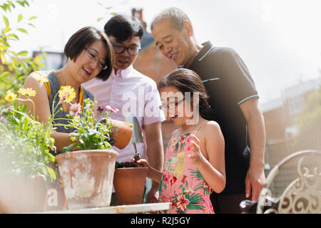 Multi-Generation, Familie, Gartenarbeit, verguss Blumen im sonnigen Hof Stockfoto