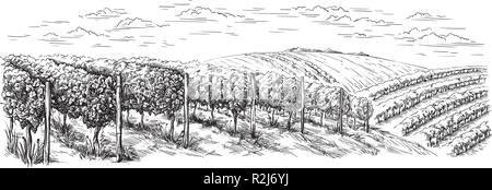 Weinstock Plantage Hügel, Bäume, Wolken am Horizont Vector Illustration Stock Vektor