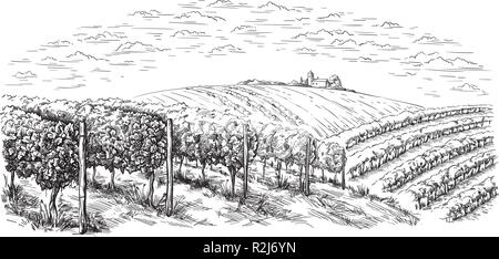 Weinstock Plantage Hügel, Bäume, Wolken am Horizont Vector Illustration Stock Vektor