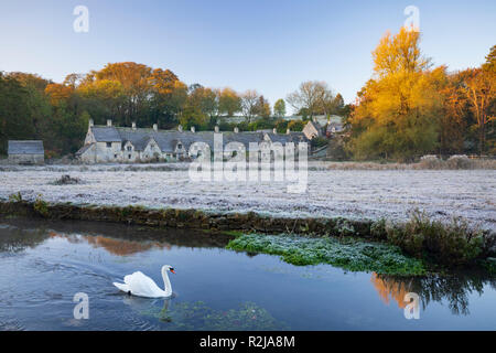 Arlington Row typische Cotswold Stone Cottages und Schwan auf den Fluss Coln auf frostigen Herbstmorgen, Bibury, Cotswolds, Gloucestershire, England, Großbritannien Stockfoto