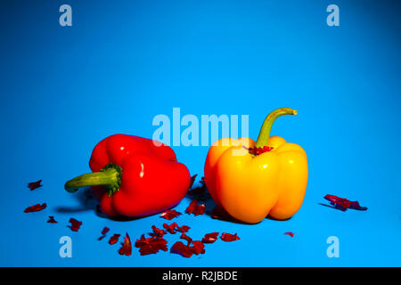 Still-Leben Stockfoto