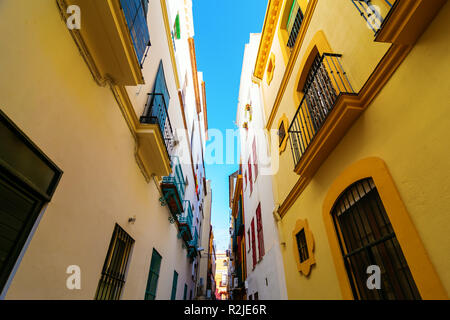 Malerische Gasse in der Altstadt von Sevilla, Spanien Stockfoto