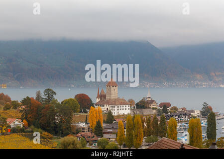 Spiez Schloss am Ufer des Thunersees in der Region Berner Oberland des Schweizer Kantons Bern, Schweiz Stockfoto