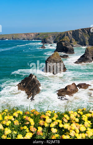 Granit Felsen Bedruthan Steps an der Nordküste von Cornwall, England, Großbritannien, Großbritannien. Stockfoto