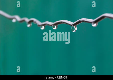 Ein Makro Bild von einem Wassertropfen auf grünem Hintergrund Stockfoto