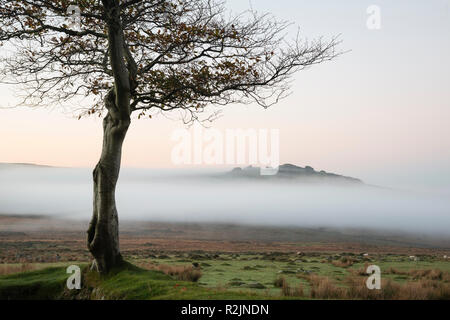 Atemberaubende Nebel Sonnenaufgang Landschaft über Aufgabenbereiche in Dartmoor Gipfel offenbart durch den Nebel Stockfoto