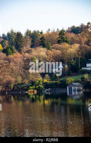 Schöne Herbstfarben im Wald an den Ufern des Lake Windermere Lake District National Park in der Nähe Bowness Cumbria England Vereinigtes Königreich Großbritannien Stockfoto