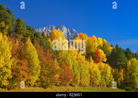 Österreich, Tirol, Herbst Landschaft am Mieminger Plateau Stockfoto