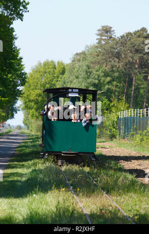 Moor Bahn, Europäische Moor und Klima Center, Wagenfeld, Niedersachsen, Deutschland, Europa Stockfoto