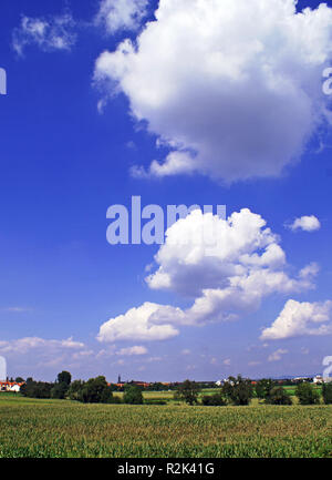 Sommer sky am Ortsrand Stockfoto