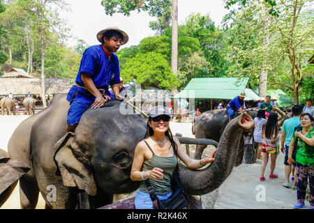 Maesa Elephant Camp, Chiang Mai, Thailand Stockfoto