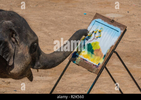 Maesa Elephant Camp, Chiang Mai, Thailand Stockfoto