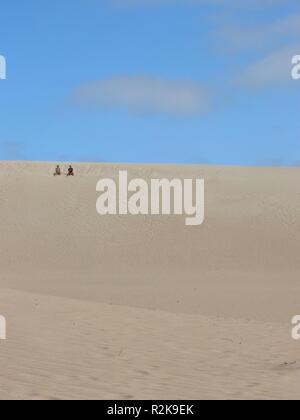 Sandboarding Stockfoto