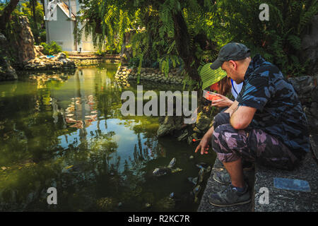 Touristen füttern die Schildkröten im Tempel Wat Ag. Bangkok, Thailand. Stockfoto