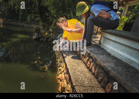 Touristen füttern die Schildkröten im Tempel Wat Ag. Bangkok, Thailand. Stockfoto