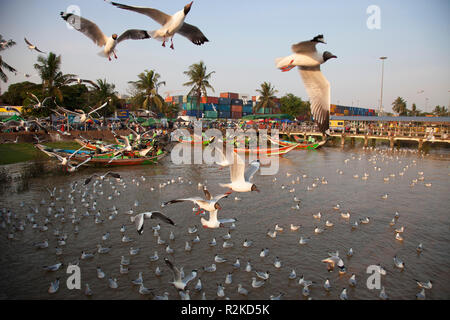 Taxiboote, Yangon Fluss, Yangon, Myanmar, Asien Stockfoto