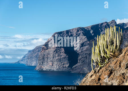 Die bis zu 450 Meter hohe Klippe Küste Los Gigantes an der Südwestküste von Teneriffa, in der Nähe von Santiago del Teide. Stockfoto