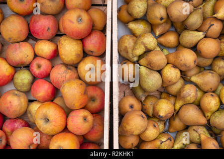 Äpfel und Birnen auf dem Markt in Kisten Stockfoto