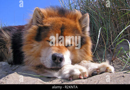 Urlaub am Strand Stockfoto
