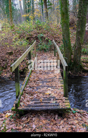 Eine alte schmale Holzbrücke im Wald über einen Bach im Wald in der Nähe von cartmel Cumbria England Vereinigtes Königreich Großbritannien Stockfoto