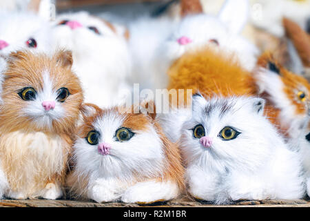 Weiches Spielzeug Kätzchen vor der Kamera sitzen Stockfoto