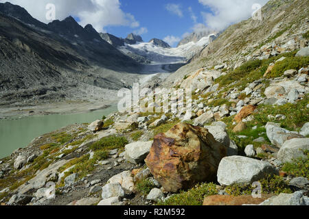 Reeeding Oberaargletscher, hydroelektrischer Oberaarlake, Oberaarhorn Gletschermoräne und Till. Berner alpen, Grimsel, Schweiz Stockfoto