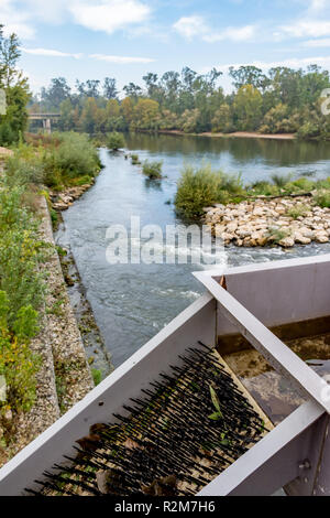 Aal Pass aus Borsten mit Blick auf die unteren Rio Mondego in Coimbra in Portugal. Stockfoto