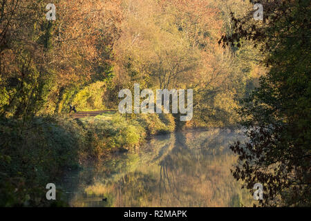 Early morning mist on the River Lagan,  as beautiful autumn colours are brightly lit by morning sunshine. Lagan towpath, Belfast, N.Ireland. Stockfoto