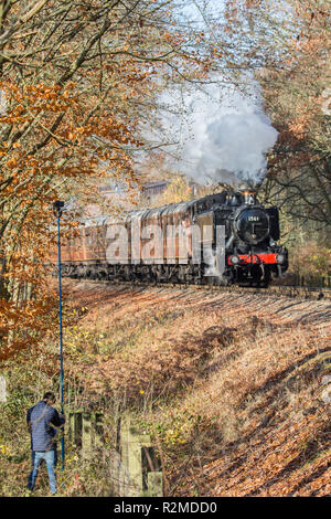 Portraitfotos der britischen Dampfzug auf Severn Valley Railway Heritage Line, Puffing durch Bäume im Herbst. Der Mensch nimmt erhöhten Fotos mit der Kamera bis auf die Pole. Stockfoto