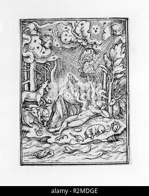 Schaffung von Eva, aus der Tanz des Todes. Artist: von Hans Holbein der Jüngere (Deutsch, Augsburg 1497/98-1543 London). Maße: Blatt: 2 5/8 x 1 15/16 in. (6,6 x 4,9 cm). Grafiker: Hans Lützelburger (Deutsch, gestorben Basel, vor 1526). Datum: Ca. 1526, veröffentlicht 1538. Museum: Metropolitan Museum of Art, New York, USA. Stockfoto
